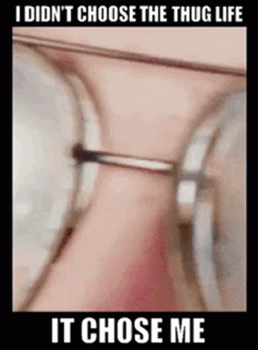 untitled.gif