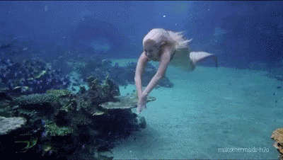 untitled.gif