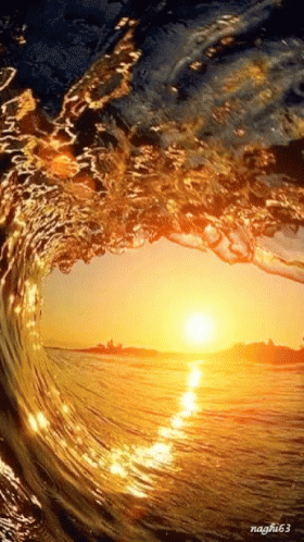 untitled.gif