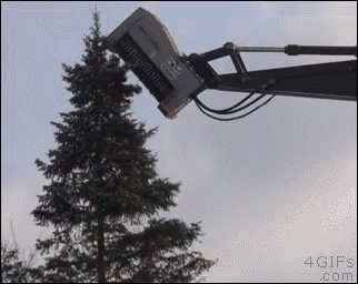 untitled.gif