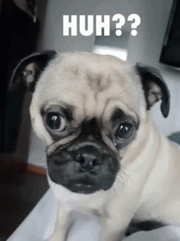 untitled.gif