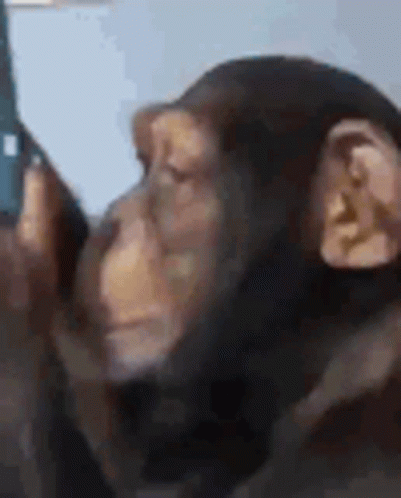 untitled.gif