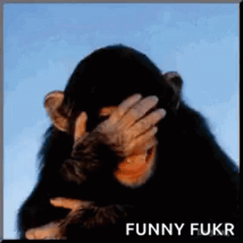 untitled.gif