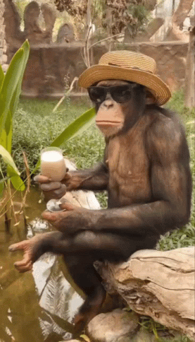 untitled.gif