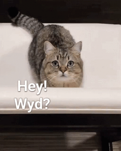 untitled.gif