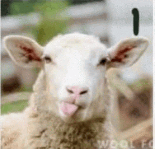 untitled.gif