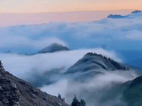 untitled.gif