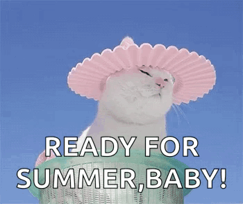 untitled.gif