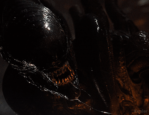 untitled.gif