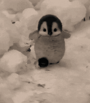 untitled.gif