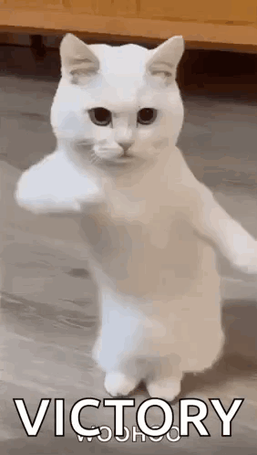 untitled.gif