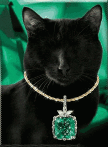 untitled.gif