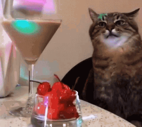 untitled.gif