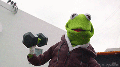 untitled.gif