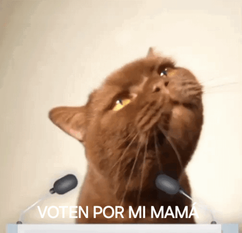 untitled.gif