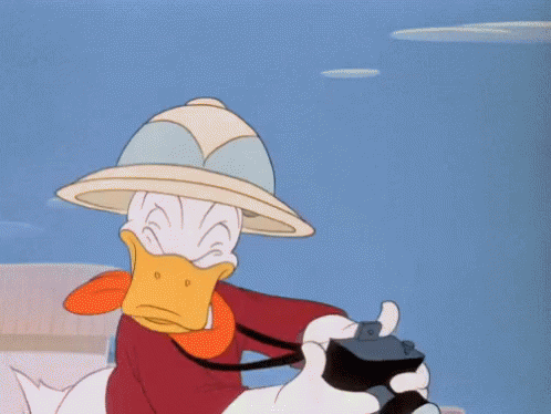 untitled.gif