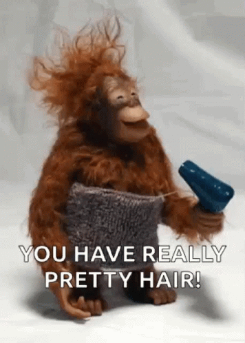 untitled.gif