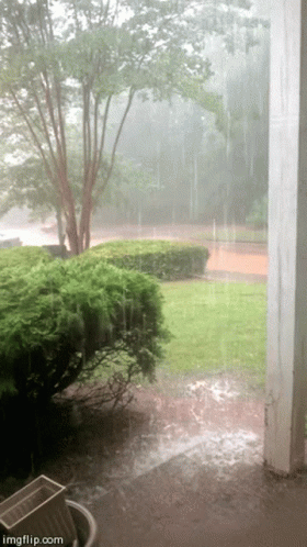 untitled.gif