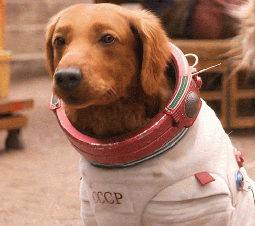 untitled.gif