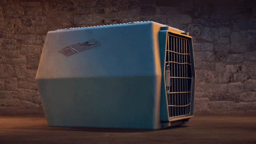 untitled.gif