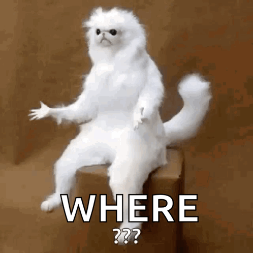 untitled.gif