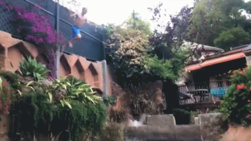 untitled.gif