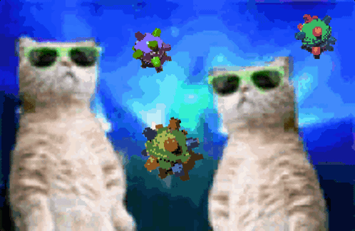 untitled.gif