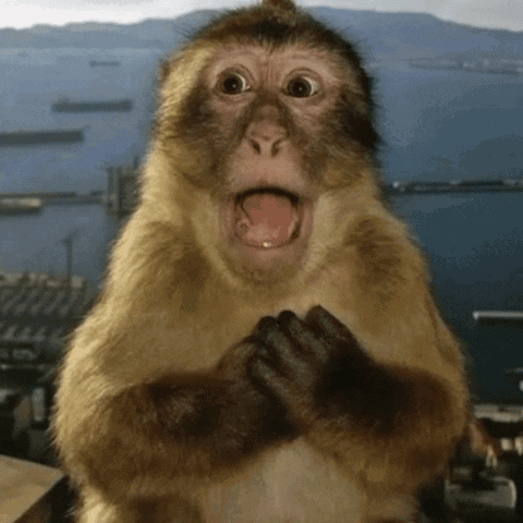 untitled.gif