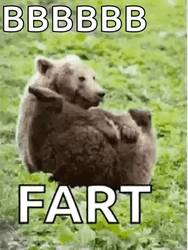 untitled.gif