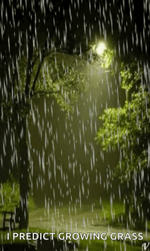 untitled.gif