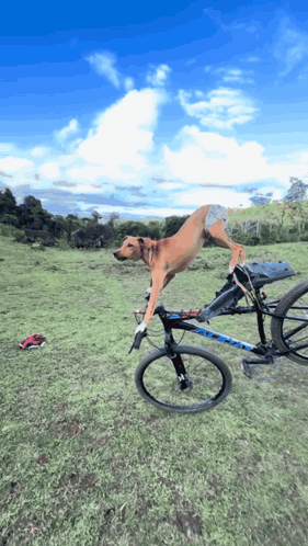 untitled.gif