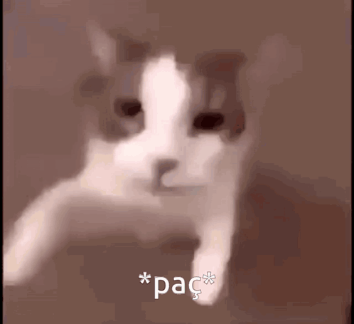 untitled.gif
