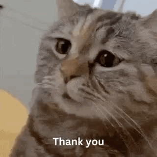 untitled.gif