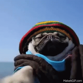untitled.gif