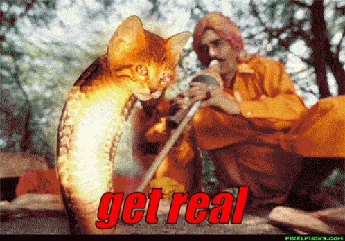 untitled.gif