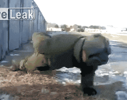 untitled.gif
