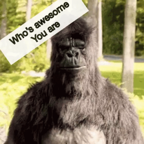 untitled.gif