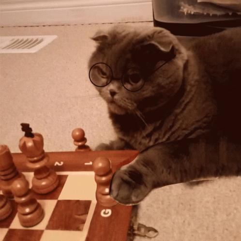 untitled.gif
