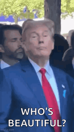 untitled.gif