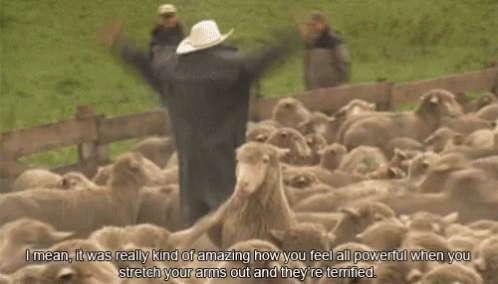 untitled.gif