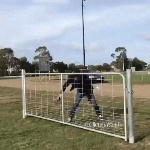 untitled.gif