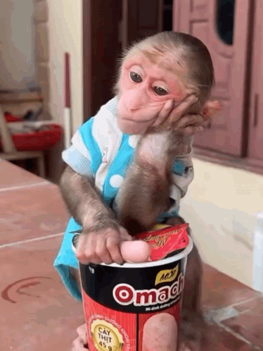 untitled.gif