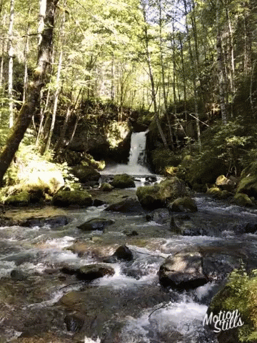 untitled.gif
