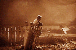 untitled.gif