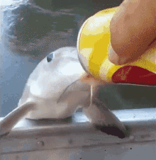 untitled.gif