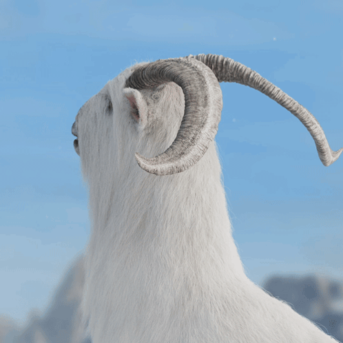 untitled.gif