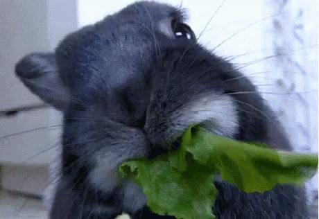 Nice Yummy
