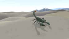untitled.gif
