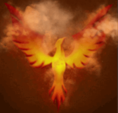 untitled.gif