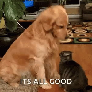 untitled.gif